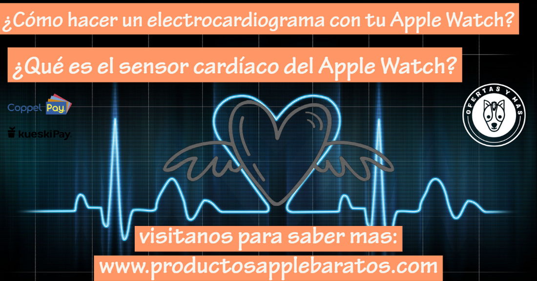 ¿Cómo hacer un electrocardiograma con tu Apple Watch?