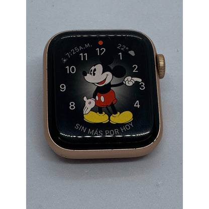 Apple Watch Se (gps  , 40mm),caja Dorada , Extra Correas